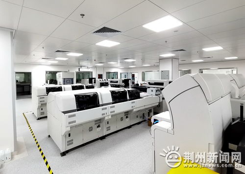 荆州市中心医院医学检验部质量管理获省级表彰